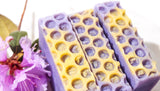 LILAC BAR SOAP