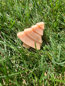 #2 TREE SOAP OF THE MONTH:  AUGUST TREE "GRAPEFRUIT TANGERINE" - LIMITED EDITION | SEASONAL SCENT