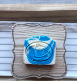 NITTANY LIONS BAR SOAP